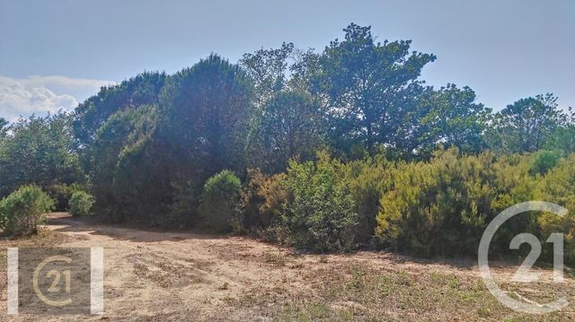 terrain à vendre - 7442.0 m2 - ORTAFFA - 66 - LANGUEDOC-ROUSSILLON - Century 21 Carré D'As Immobilier