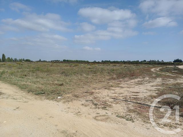 terrain à vendre - 30580.0 m2 - ELNE - 66 - LANGUEDOC-ROUSSILLON - Century 21 Carré D'As Immobilier