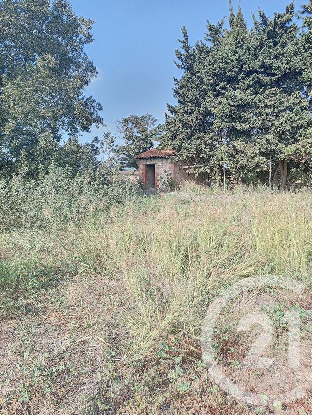 terrain à vendre - 24388.0 m2 - ELNE - 66 - LANGUEDOC-ROUSSILLON - Century 21 Carré D'As Immobilier