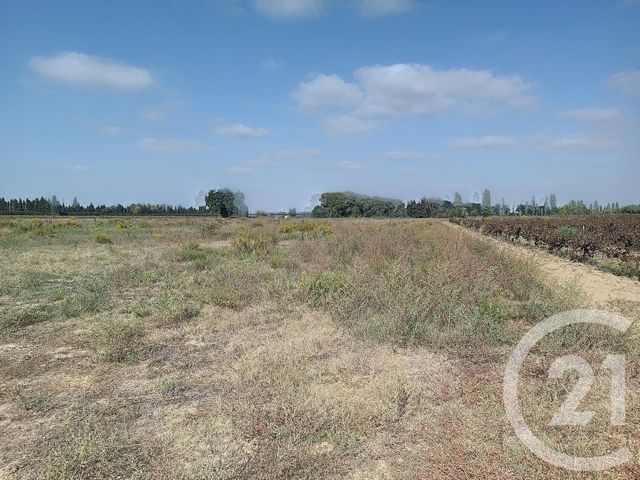 terrain à vendre - 6192.0 m2 - ELNE - 66 - LANGUEDOC-ROUSSILLON - Century 21 Carré D'As Immobilier