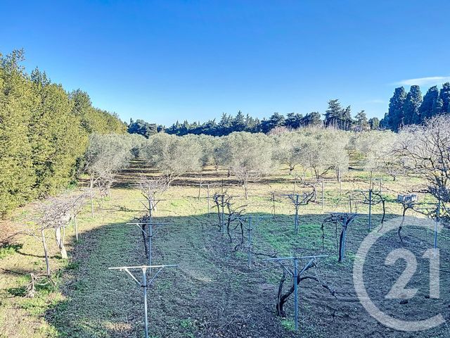 maison à vendre - 6 pièces - 252.0 m2 - ELNE - 66 - LANGUEDOC-ROUSSILLON - Century 21 Carré D'As Immobilier