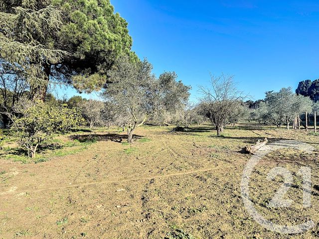 maison à vendre - 6 pièces - 252.0 m2 - ELNE - 66 - LANGUEDOC-ROUSSILLON - Century 21 Carré D'As Immobilier