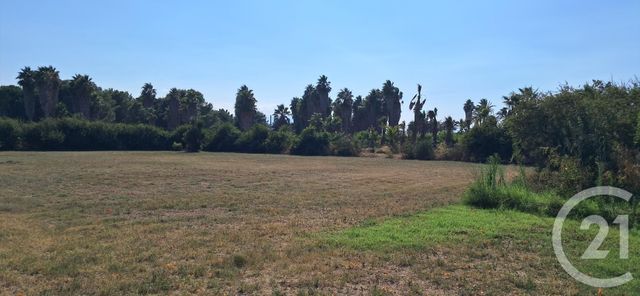 maison à vendre - 5 pièces - 143.55 m2 - ST CYPRIEN - 66 - LANGUEDOC-ROUSSILLON - Century 21 Carré D'As Immobilier