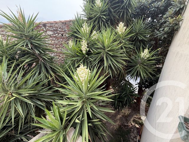 maison à vendre - 5 pièces - 105.23 m2 - ELNE - 66 - LANGUEDOC-ROUSSILLON - Century 21 Carré D'As Immobilier