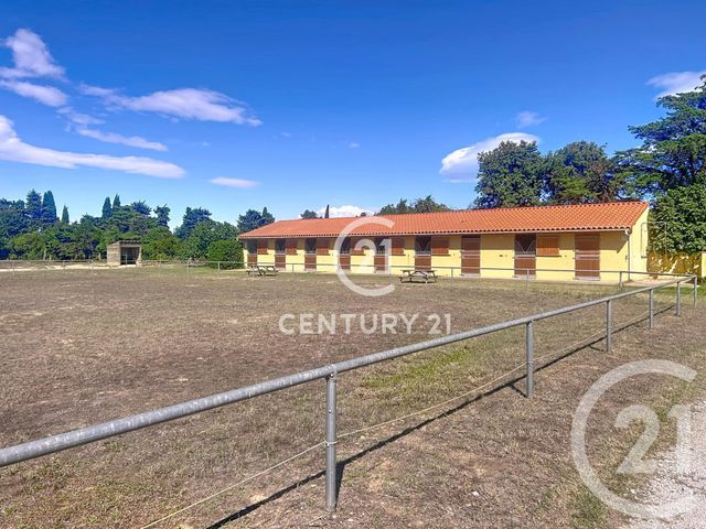 maison à vendre - 7 pièces - 175.6 m2 - ELNE - 66 - LANGUEDOC-ROUSSILLON - Century 21 Carré D'As Immobilier