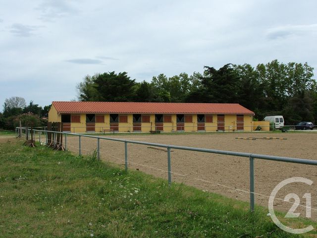 maison à vendre - 7 pièces - 175.6 m2 - ELNE - 66 - LANGUEDOC-ROUSSILLON - Century 21 Carré D'As Immobilier