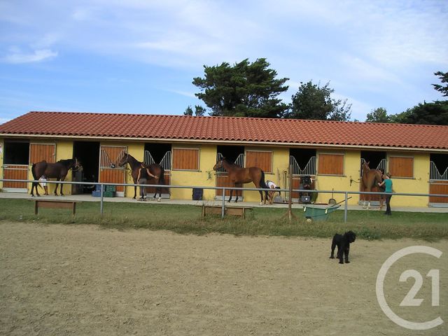 maison à vendre - 7 pièces - 175.6 m2 - ELNE - 66 - LANGUEDOC-ROUSSILLON - Century 21 Carré D'As Immobilier