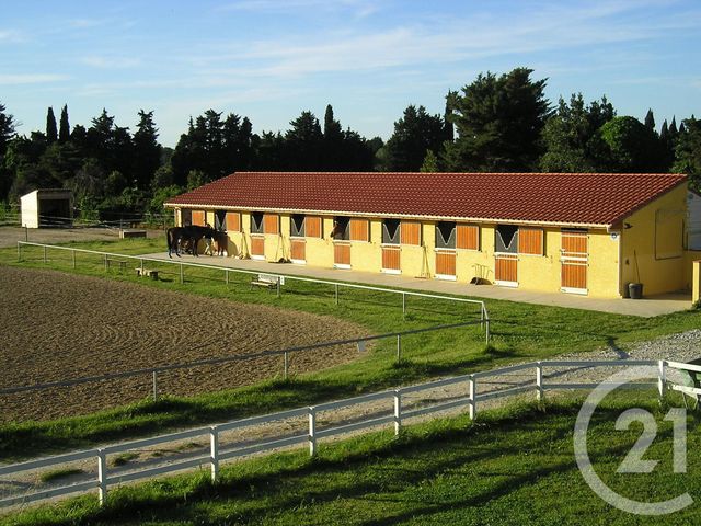 maison à vendre - 7 pièces - 175.6 m2 - ELNE - 66 - LANGUEDOC-ROUSSILLON - Century 21 Carré D'As Immobilier