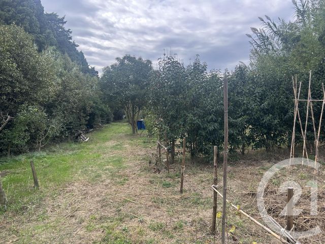 terrain à vendre - 1930.0 m2 - ELNE - 66 - LANGUEDOC-ROUSSILLON - Century 21 Carré D'As Immobilier