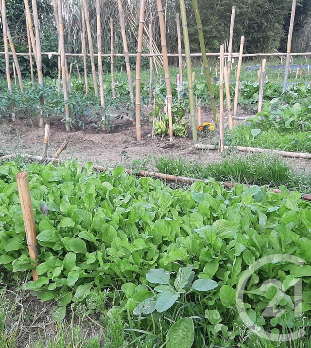 terrain à vendre - 1930.0 m2 - ELNE - 66 - LANGUEDOC-ROUSSILLON - Century 21 Carré D'As Immobilier