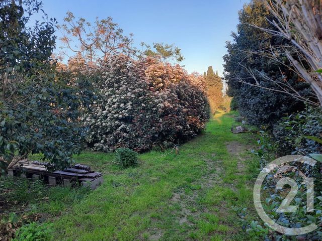 terrain à vendre - 1930.0 m2 - ELNE - 66 - LANGUEDOC-ROUSSILLON - Century 21 Carré D'As Immobilier