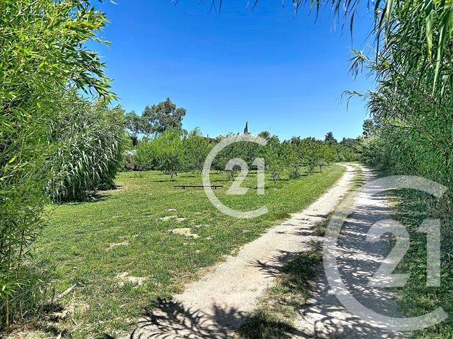 maison à vendre - 5 pièces - 183.0 m2 - ELNE - 66 - LANGUEDOC-ROUSSILLON - Century 21 Carré D'As Immobilier