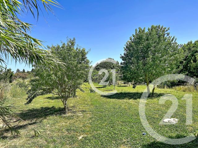 maison à vendre - 5 pièces - 183.0 m2 - ELNE - 66 - LANGUEDOC-ROUSSILLON - Century 21 Carré D'As Immobilier