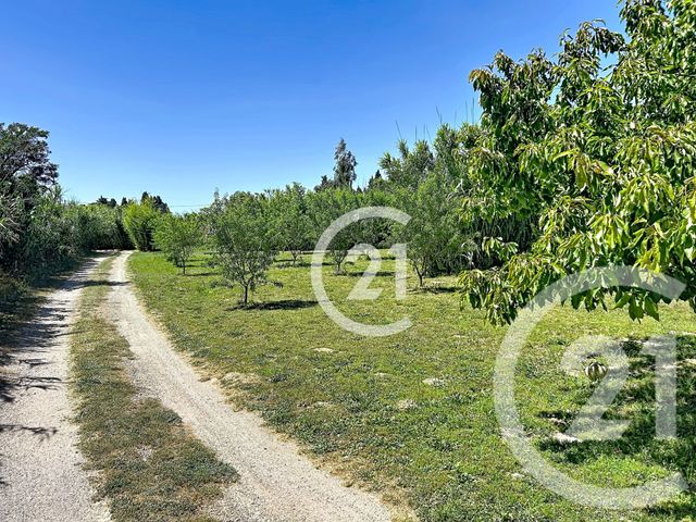 maison à vendre - 5 pièces - 183.0 m2 - ELNE - 66 - LANGUEDOC-ROUSSILLON - Century 21 Carré D'As Immobilier