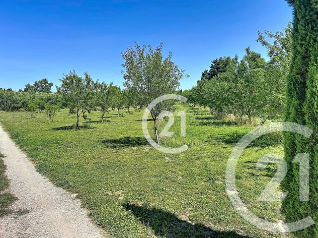 maison à vendre - 5 pièces - 183.0 m2 - ELNE - 66 - LANGUEDOC-ROUSSILLON - Century 21 Carré D'As Immobilier