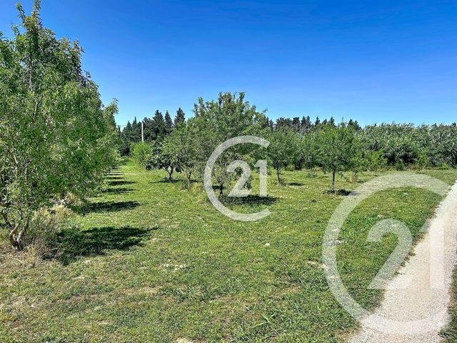 maison à vendre - 5 pièces - 183.0 m2 - ELNE - 66 - LANGUEDOC-ROUSSILLON - Century 21 Carré D'As Immobilier
