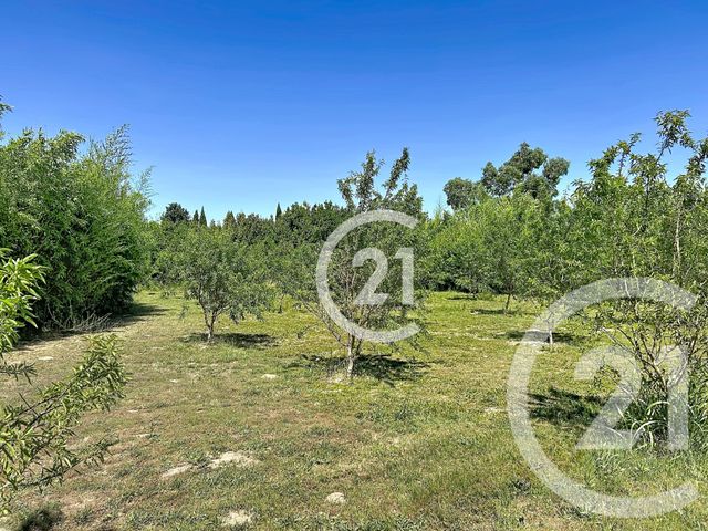 maison à vendre - 5 pièces - 183.0 m2 - ELNE - 66 - LANGUEDOC-ROUSSILLON - Century 21 Carré D'As Immobilier