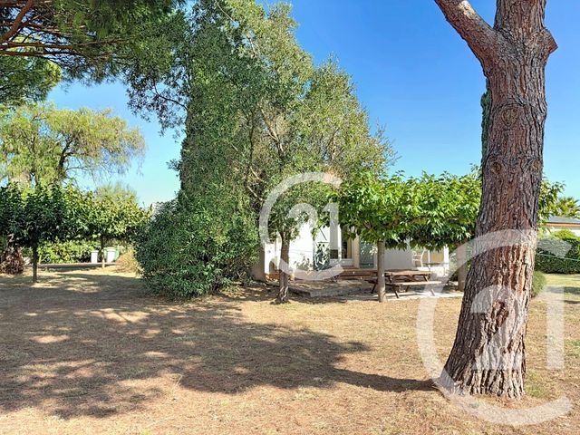 maison à vendre - 4 pièces - 140.0 m2 - MONTESCOT - 66 - LANGUEDOC-ROUSSILLON - Century 21 Carré D'As Immobilier
